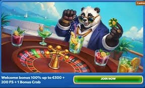 Pandido Casino Herní Platforma